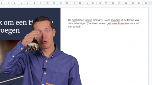 Video Google presentaties: spellingcontrole -  1ste graad A