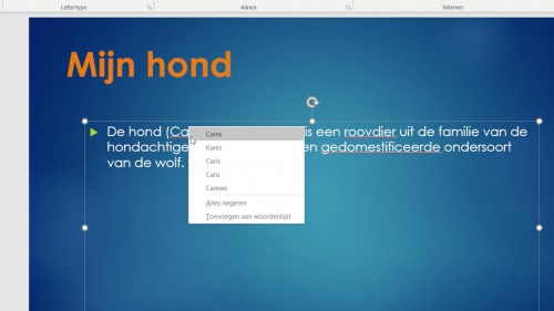 Video Powerpoint: spellingcontrole -  1ste graad A