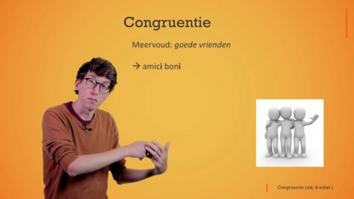 Video Het adjectief: congruentie -  1ste graad A