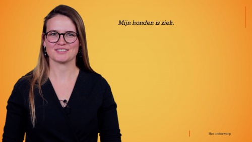 Video Het onderwerp - Nederlands 1ste graad A