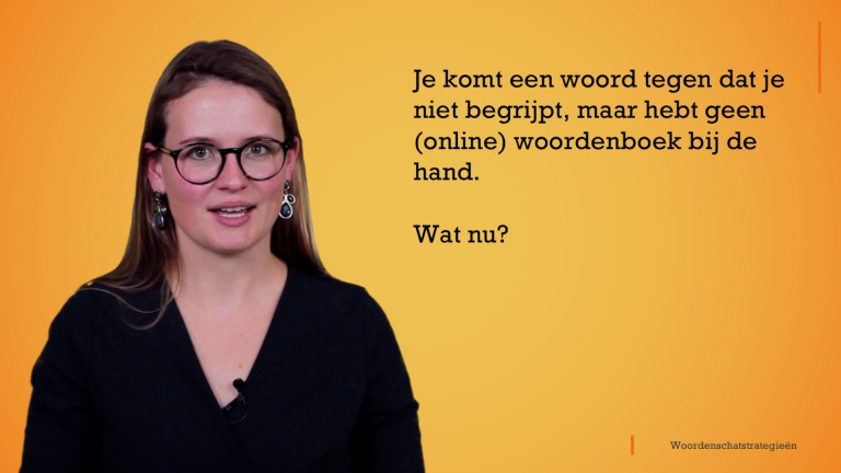 De betekenis van woorden achterhalen dankzij woordenschatstrategieën.