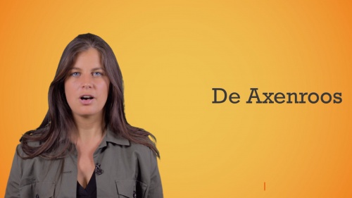 Video Ontdek iemand zijn gedragskenmerken aan de hand van de axenroos. -  1ste graad B