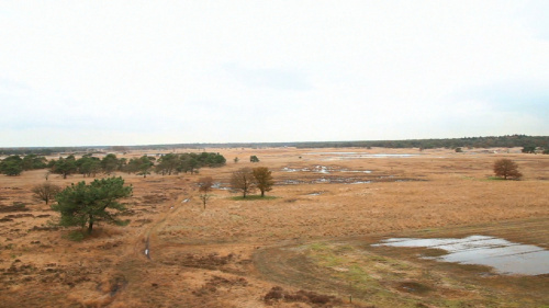 Video Hoe herken je de Biotoop Heide? -  1ste graad A