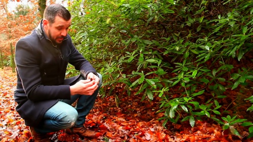 Video Het Bos: Uitzicht & Lagen! -  1ste graad A