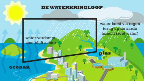 Video Zoet Water: Inleiding! -  1ste graad A