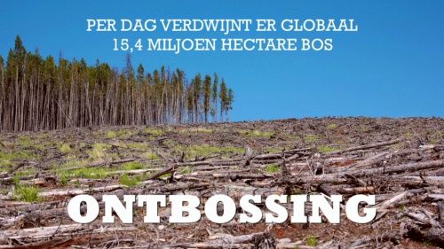 Video De Ecologische Kringloop! - Aardrijkskunde 2de graad