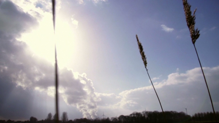 Verschillende landschappen herkennen -  1ste graad A - 