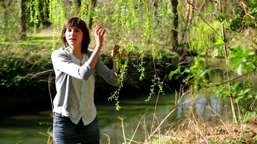 Video Fotosynthese: Aanpassingen van Planten! -  1ste graad A