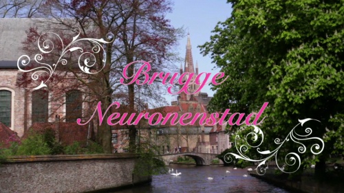 Video Bouw van een Zenuwcel of Neuron! - Biologie 2de graad