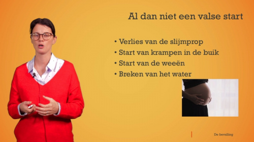 Video De bevalling: drie fases -  2de graad