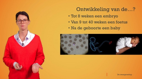 Video De zwangerschap: embryo en foetus - Personenzorg 2de graad