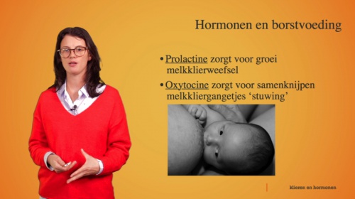 Video Klieren en hormonen: hormonen bij de zwangerschap - Personenzorg 2de graad