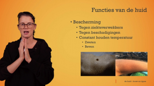 Video Huid: functies en types -  2de graad