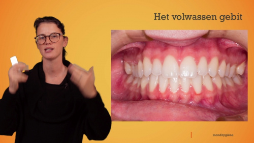 Video Mondhygiëne: soorten tanden en bouw van een tand -  2de graad