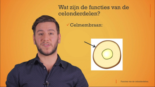 Video Functies van de celonderdelen. - Natuurwetenschappen 1ste graad A