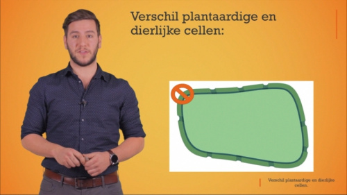 Video Het verschil tussen een dierlijke en plantaardige cel. -  1ste graad A