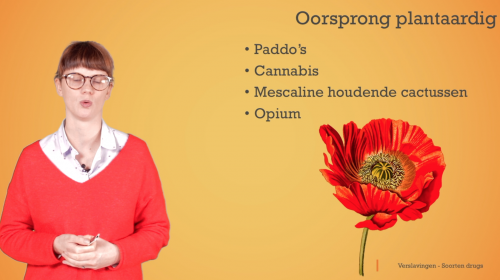 Video Verslaving: drugs van plantaardige & chemische oorsprong - Mens & samenleving 1ste graad A