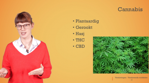 Video Verslavende middelen: cannabis -  1ste graad A