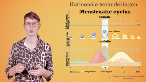 Video Pubertijd meisje: mentale en hormonale veranderingen - Mens & samenleving 1ste graad A