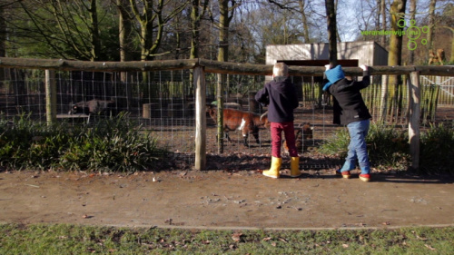 Video Maak kennis met Kosmos. Leerlingen van verschillende leeftijden werken hier samen aan zelfgekozen projecten. -  Leerkrachten