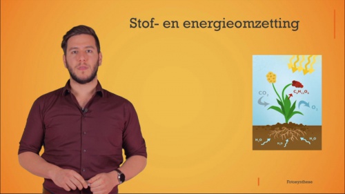 Stof- en energieomzetting bij fotosynthese