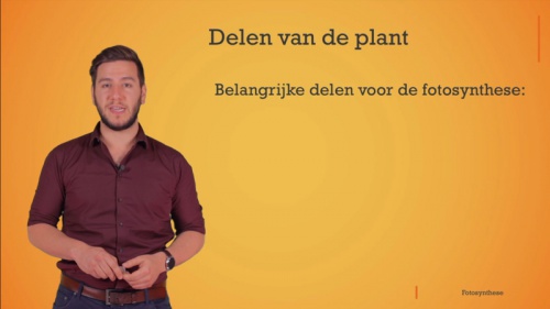 Video De algemene stofomzetting bij de fotosynthese -  1ste graad A