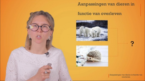 Video Hoe proberen dieren te overleven in hun omgeving? Ze passen zich aan. - Natuur en Ruimte 1ste graad B