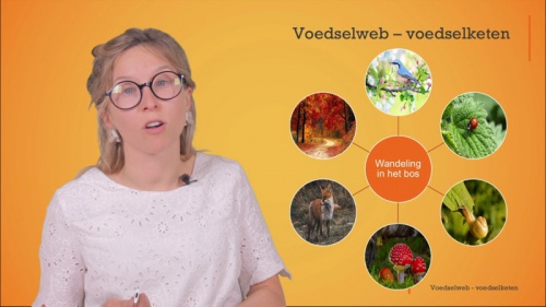 Video Het opstellen en interpreteren van een voedselketen en een voedselweb. -  1ste graad B