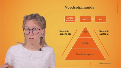 Video Een ander voorstelling van een voedselketen is een voedselpiramide - Natuur en Ruimte 1ste graad B