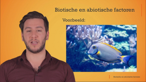 Video Wat zijn biotische en abiotische factoren? Hier een paar voorbeelden. -  1ste graad A